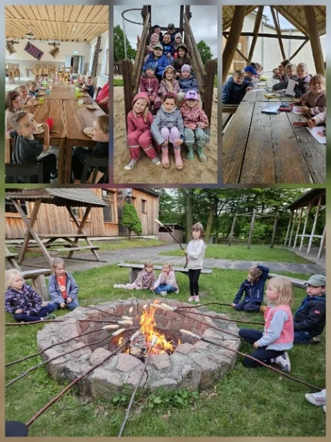Bildcollage: Kinder an langen Holztischen, auf einer Klettertreppe und beim Stockbrot am Lagerfeuer.