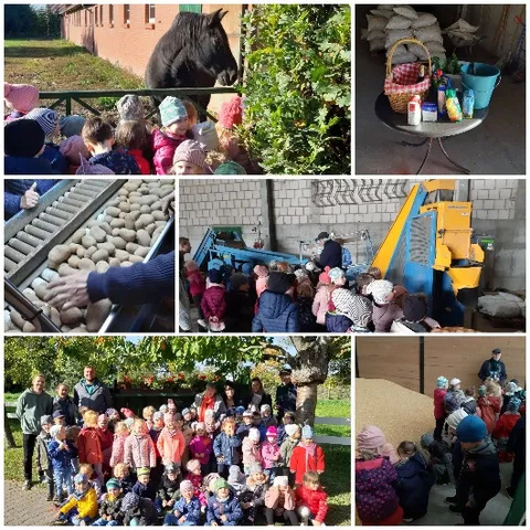 Bildcollage: Kindergruppe auf einem Bauernhof, ein Pferd am Zaun, Kartoffeln auf einem Förderband, Gruppenfoto unter einem Baum.