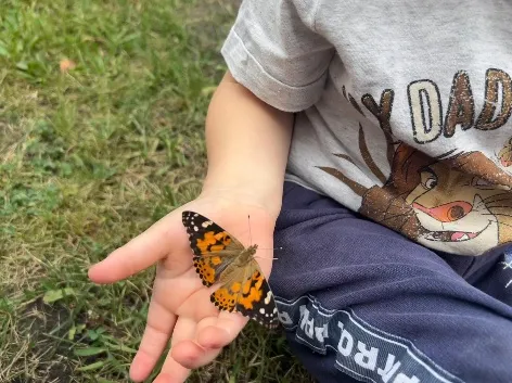Ein orange-schwarzer Schmetterling sitzt auf der offenen Hand eines Kindes.